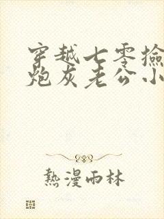 穿越七零捡来的炮灰老公小说