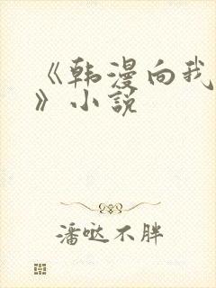 《韩漫向我祈求》小说