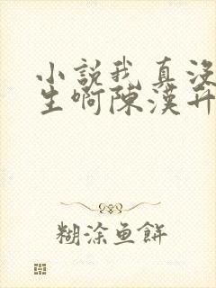 小说我真没想重生啊陈汉升阅读