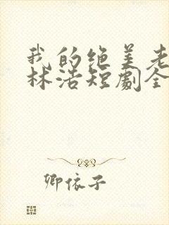 我的绝美老板娘林浩短剧全集