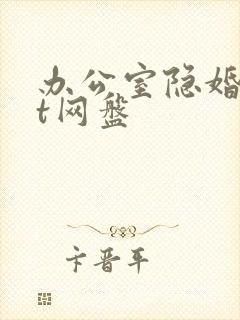 办公室隐婚txt网盘