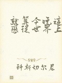 就算今晚这份爱恋从世界上消失免费