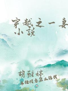 穿越之一妻难求 小说