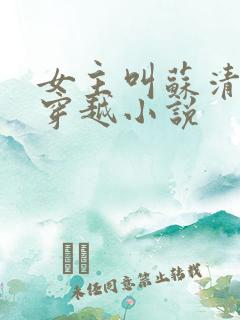 女主叫苏清雪的穿越小说