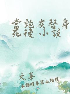 当炮灰替身的我死后 小说