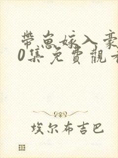 带崽嫁入豪门80集免费观看