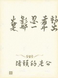 火影忍者动画片是哪一年出的