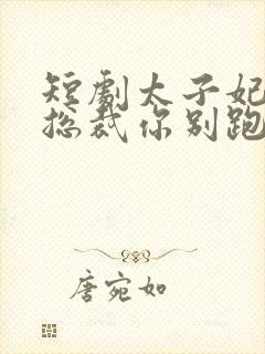 短剧太子妃驾到总裁你别跑