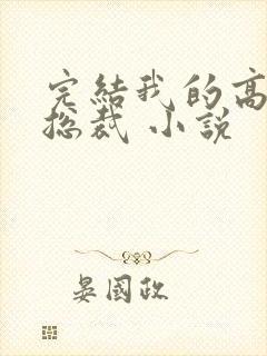 完结我的高冷女总裁 小说