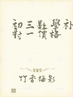 初三数学补课一对一价格