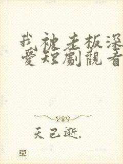 我被老板深深溺爱短剧观看