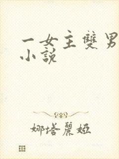 一女主双男主的小说