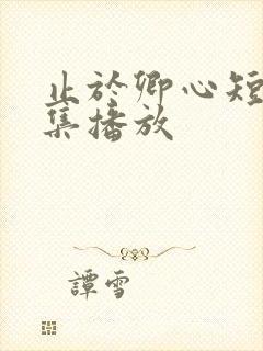 止于卿心短剧全集播放