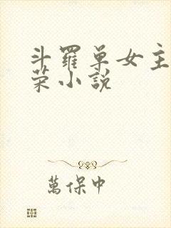 斗罗单女主宁荣荣小说