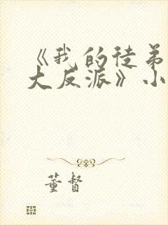 《我的徒弟都是大反派》小说