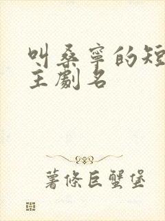 叫桑宁的短剧女主剧名