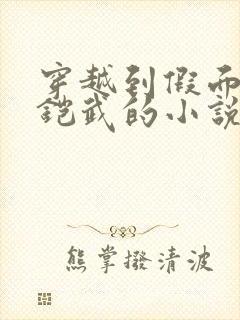 穿越到假面骑士铠武的小说