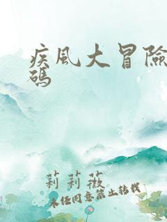 疾风大冒险兑换码