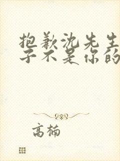 抱歉沈先生,孩子不是你的短剧完整选集