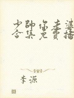 少帅你老婆又跑合集免费播放