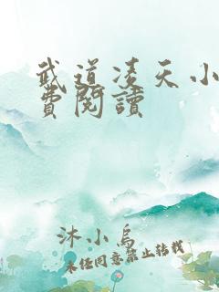 武道凌天小说免费阅读