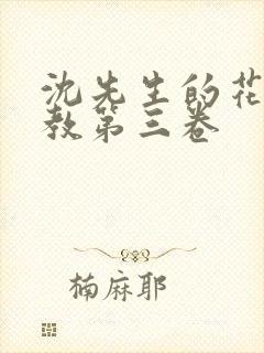 沈先生的花式调教第三卷