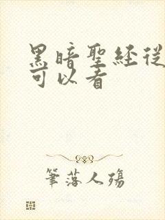 黑暗圣经从哪里可以看