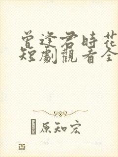 曾逢君时花照眼短剧观看全