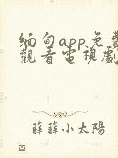 缅甸app免费观看电视剧推荐