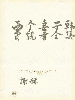 两个妻子韩剧免费观看全集