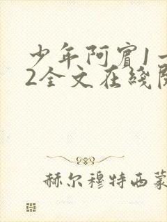 少年阿宾1一72全文在线阅读