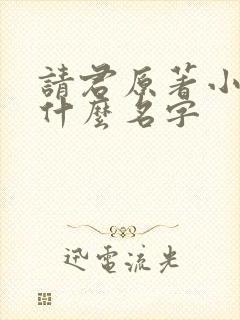 请君原著小说叫什么名字