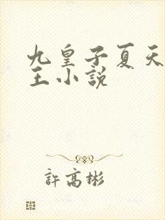 九皇子夏天荒州王小说