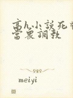 高h小说死对头当众调教