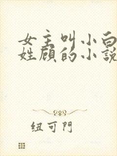 女主叫小白男主姓顾的小说