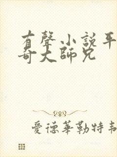 有声小说平平无奇大师兄