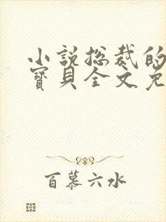 小说总裁的私有宝贝全文免费阅读