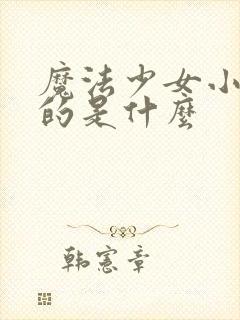 魔法少女小圆讲的是什么