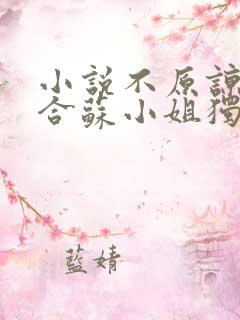 小说不原谅不复合苏小姐独美全文免费阅读