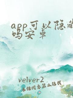 app可以隐藏吗安卓