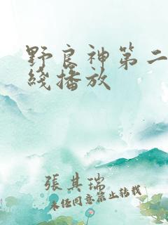 野良神第二季在线播放