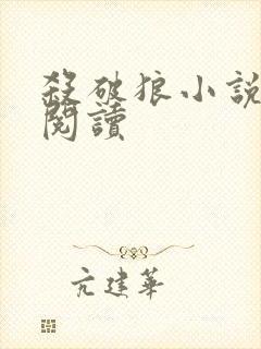 杀破狼小说在线阅读