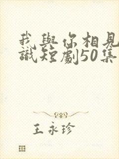 我与你相见不相识短剧50集剧情介绍