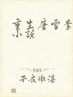 重生唐雪李毅的小说