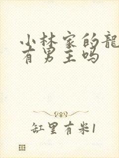 小林家的龙女仆有男主吗