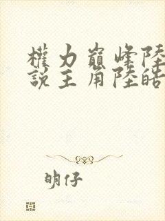 权力巅峰陆皓小说主角陆皓结婚章节