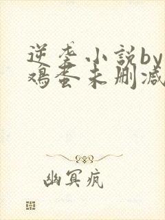 逆袭小说by柴鸡蛋未删减