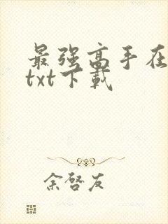 最强高手在都市txt下载