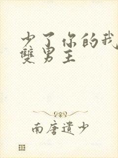 少了你的我台剧双男主