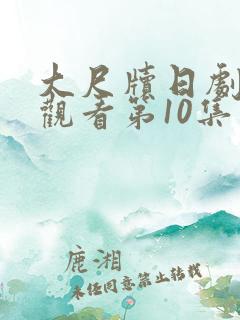 大尺牍日剧免费观看第10集